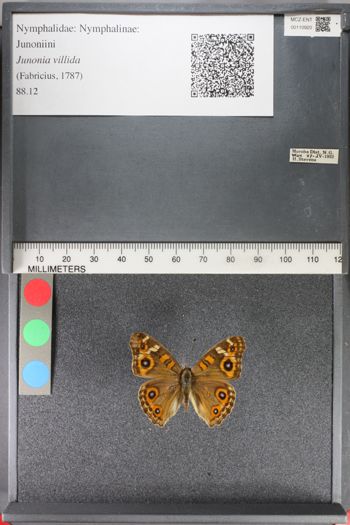Media type: image;   Entomology 110920